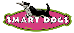 logoSmartdorgs