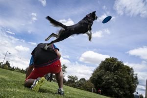 Jugando con frisbee