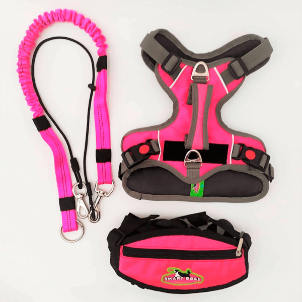 Kit canicross fucsia