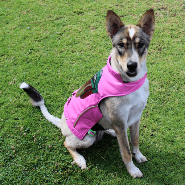 chaquetas-sinteticas-rosa