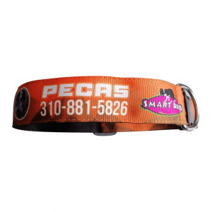 collar-personalizado-anaranjado