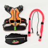 Kit canicross naranja neon